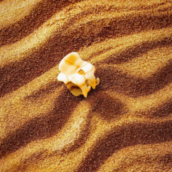 A single piece of popcorn rests on textured golden sand with ripple patterns behind it.
